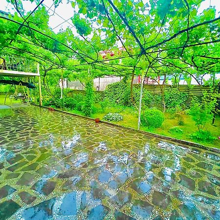 Home Inn-Guesthouse Lagodekhi Zewnętrze zdjęcie