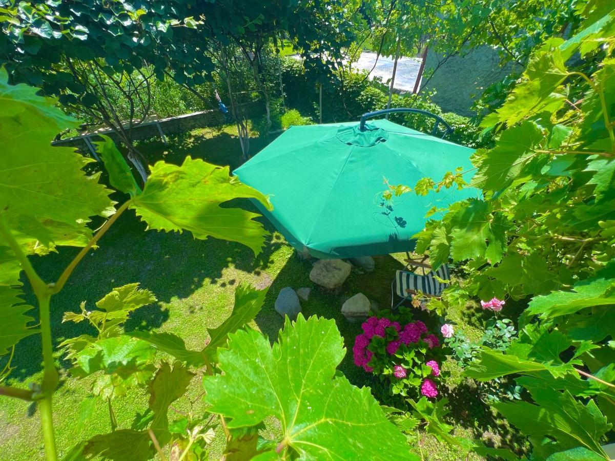 Home Inn-Guesthouse Lagodekhi Zewnętrze zdjęcie