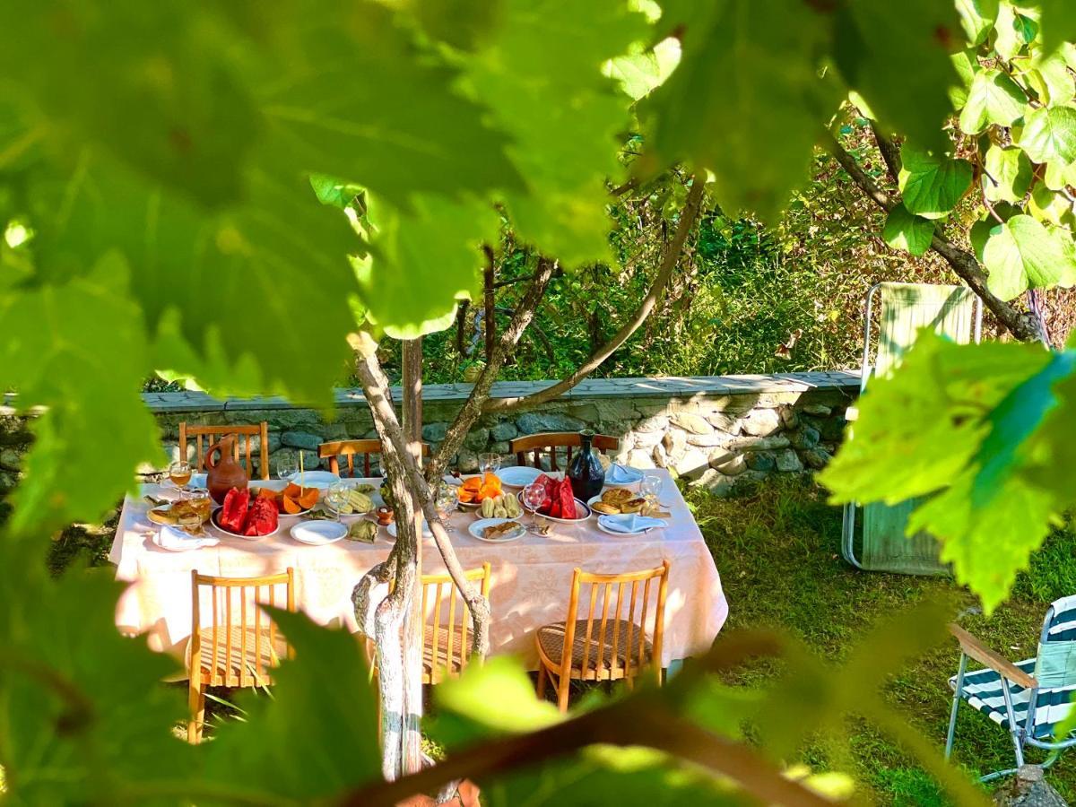 Home Inn-Guesthouse Lagodekhi Zewnętrze zdjęcie