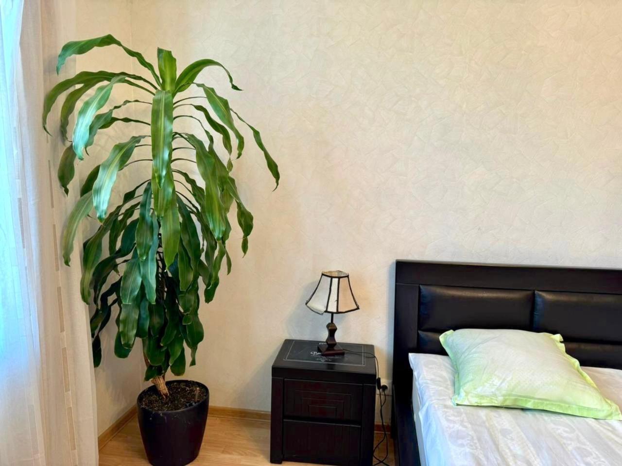 Home Inn-Guesthouse Lagodekhi Zewnętrze zdjęcie