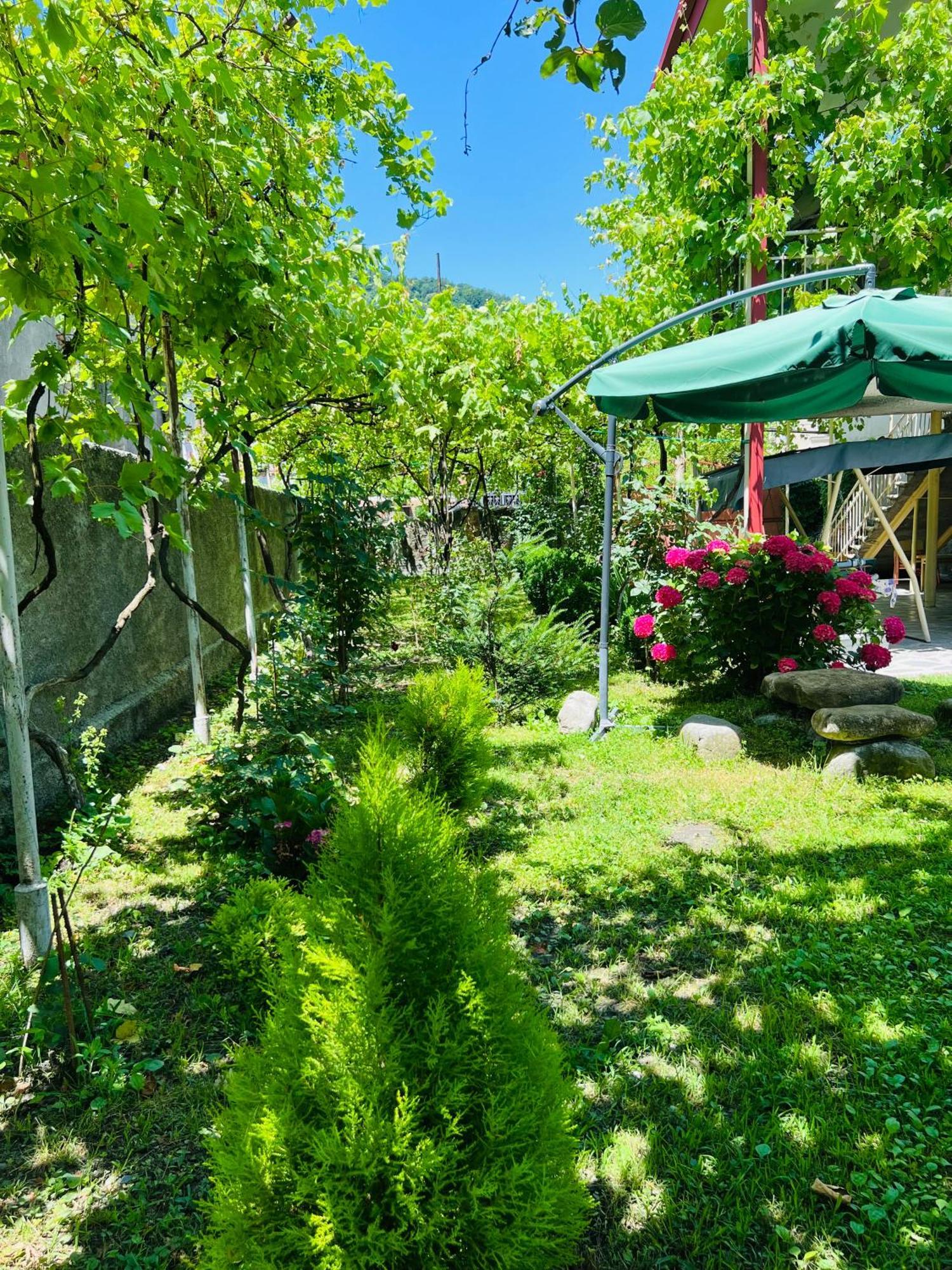 Home Inn-Guesthouse Lagodekhi Zewnętrze zdjęcie