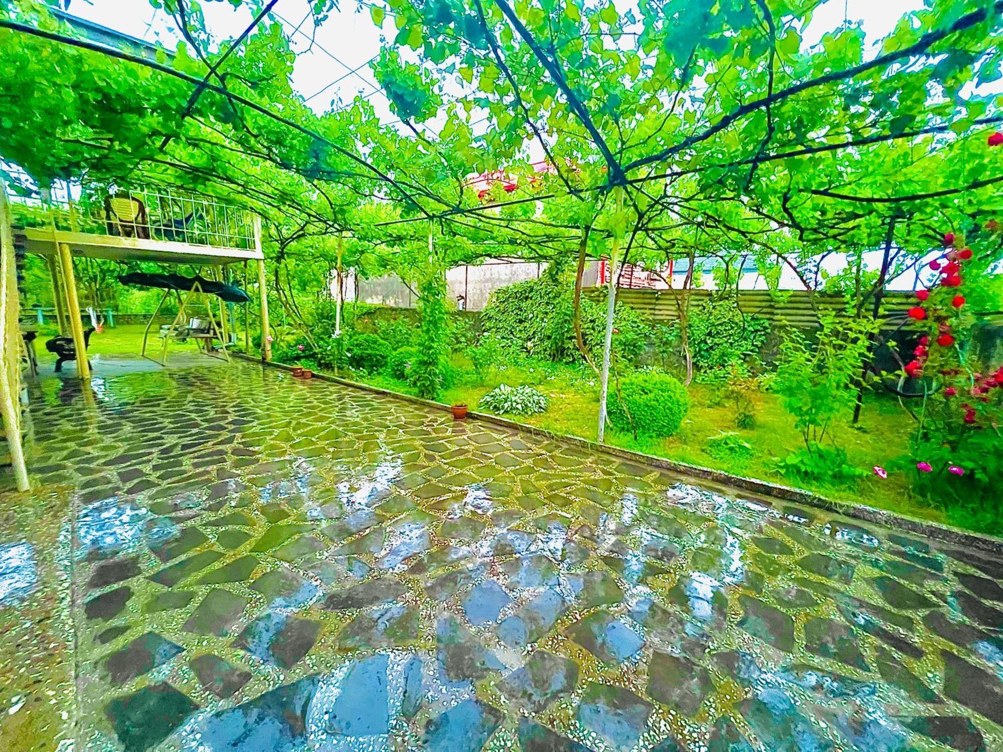 Home Inn-Guesthouse Lagodekhi Zewnętrze zdjęcie